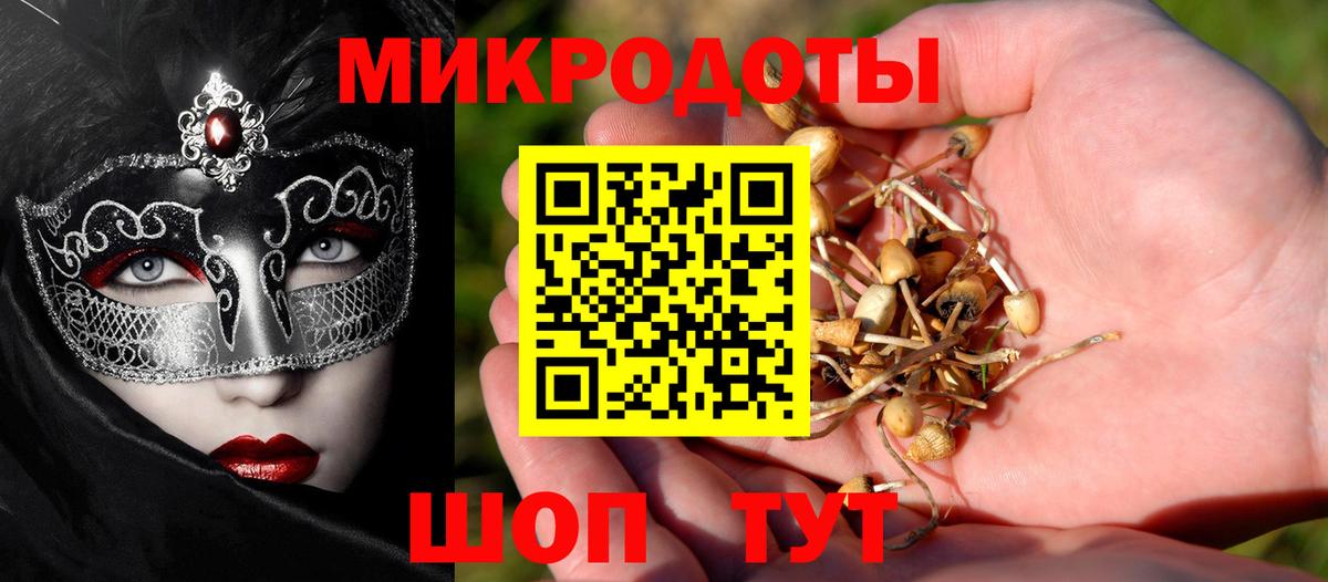 Псилоцибиновые грибы Psilocybine cubensis  Вход с VPN  Миасс 